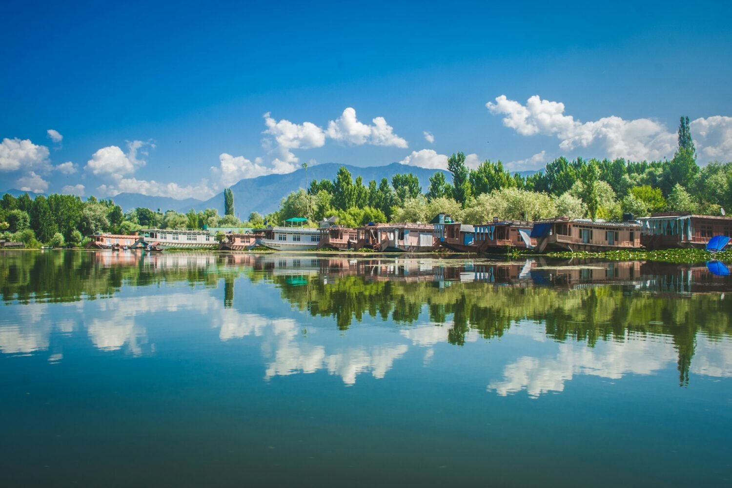Panoramic view of Dal Lake in Kashmir