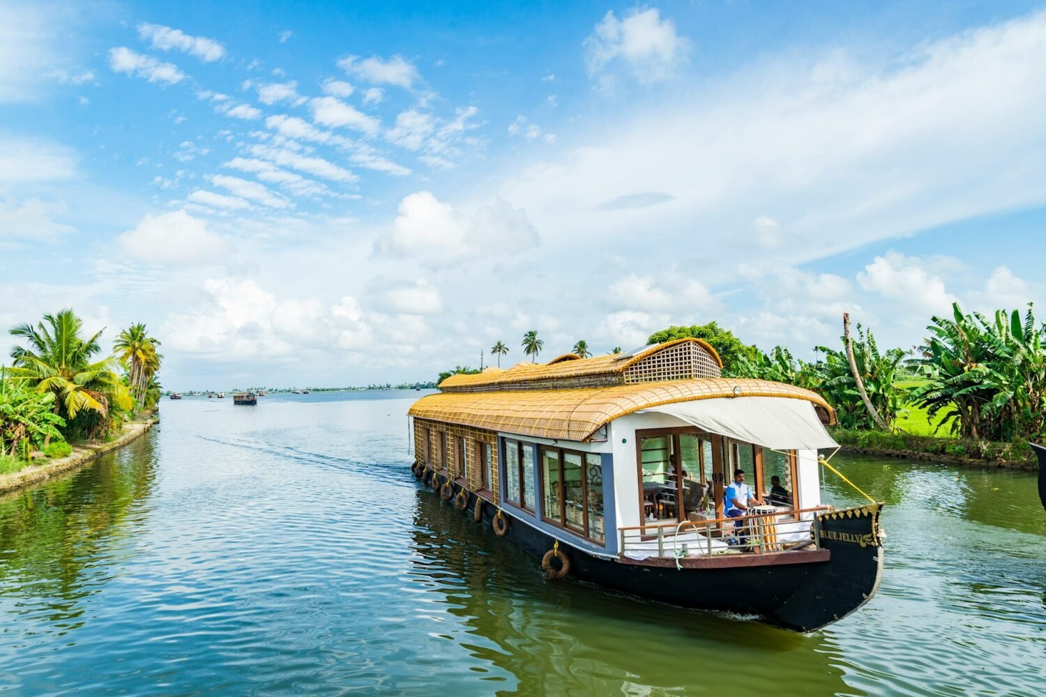 Picture of houseboat in Alleppey Kerala
