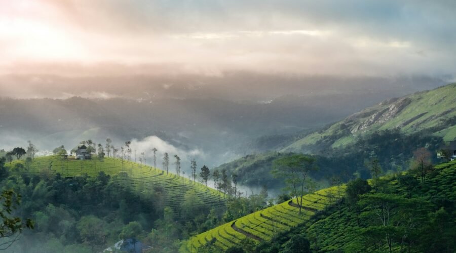 View of the mountains in Munnar