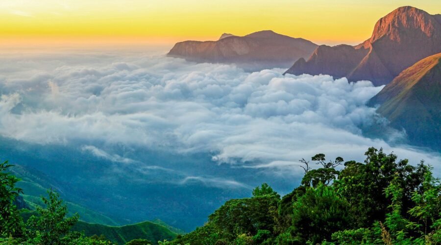 Munnar 1