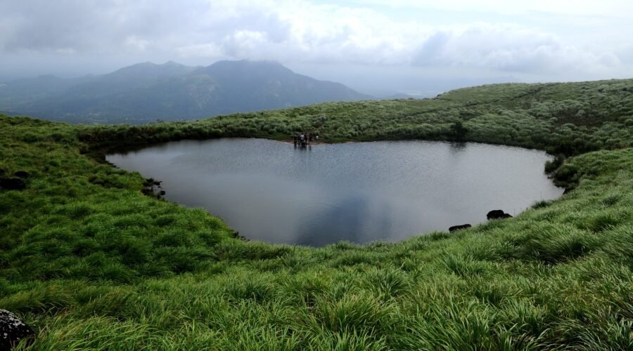 Wayanad 1