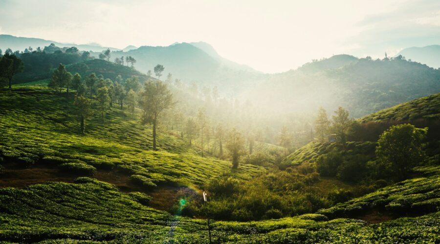 Wayanad 4
